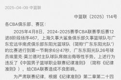 开云体育官网-队员因犯规过多被球队处罚