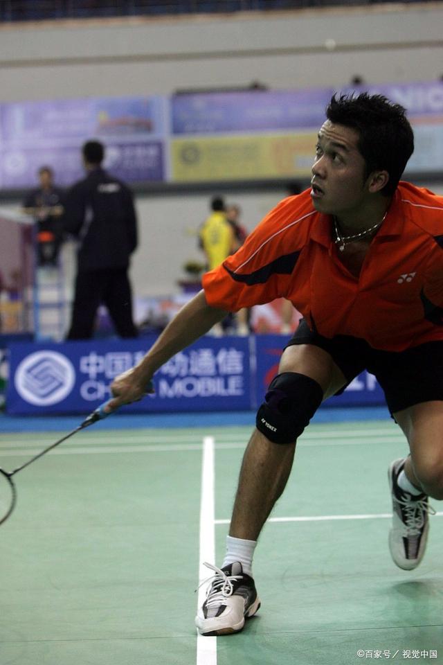 关于中国羽毛球队横扫日本羽毛球队，陶菲克高光表现的信息